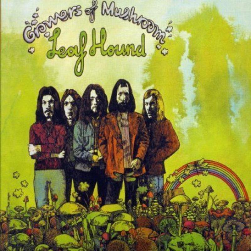 Picture of Leaf Hound - Growers Of Mushroom