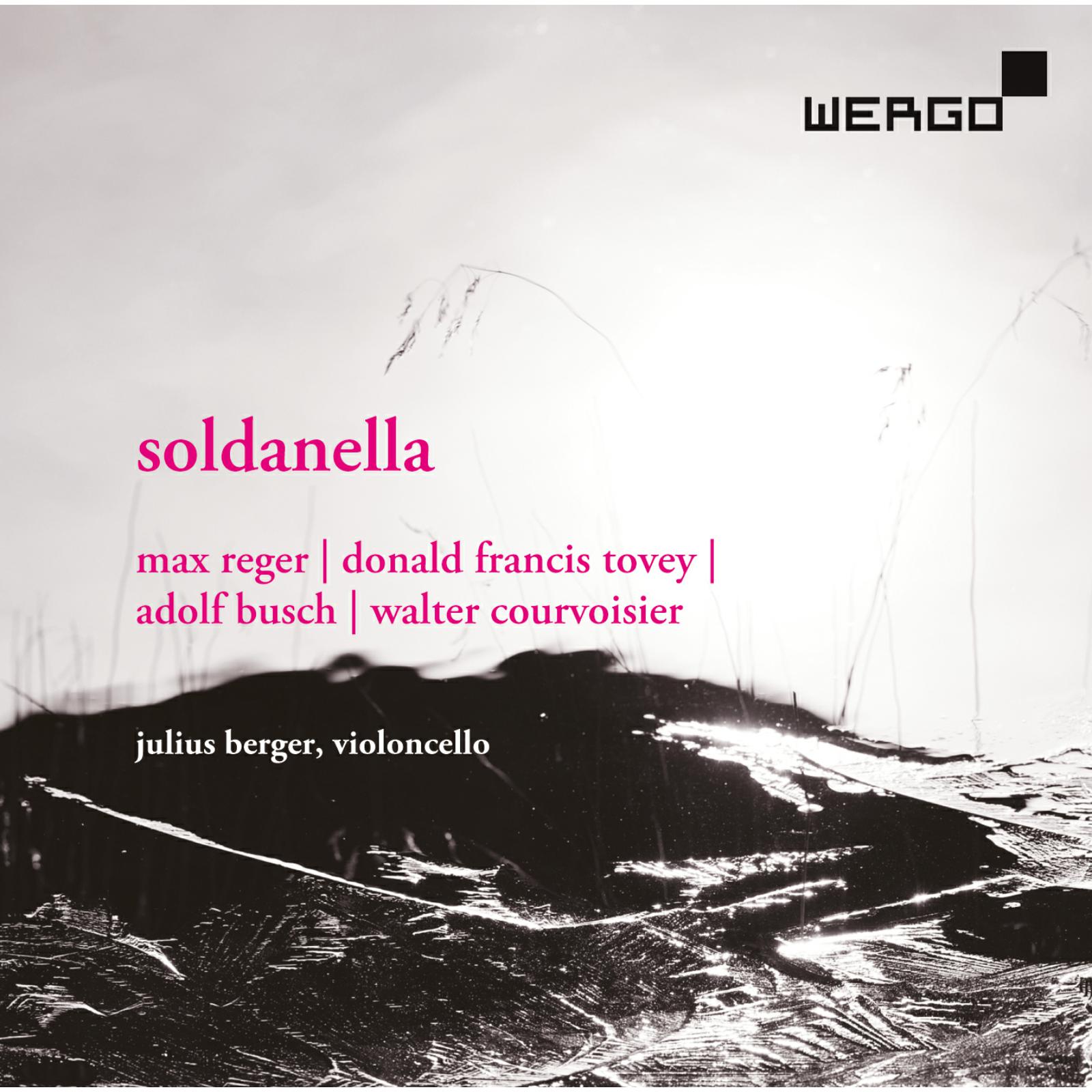 Picture of Julius Berger - Soldanella