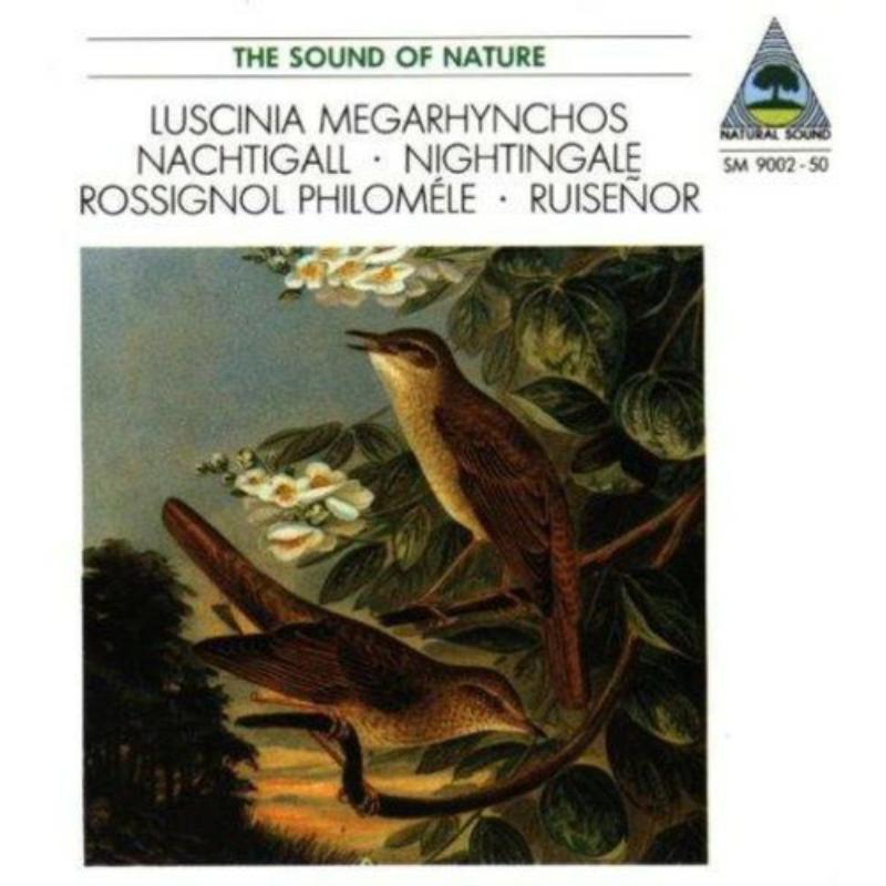 Picture of Tilgner - NACHTIGALL