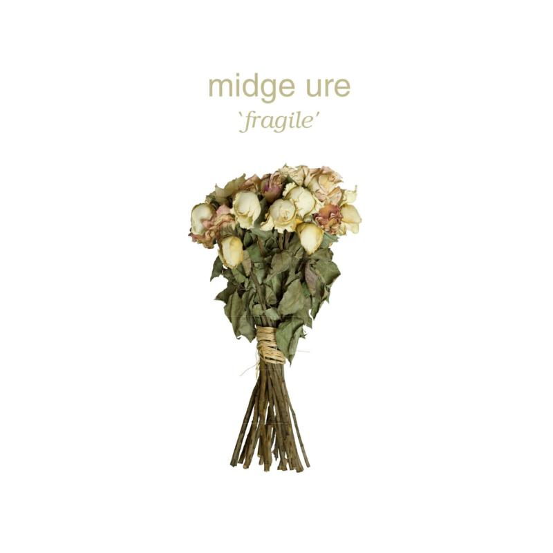 Picture of Midge Ure - Fragile