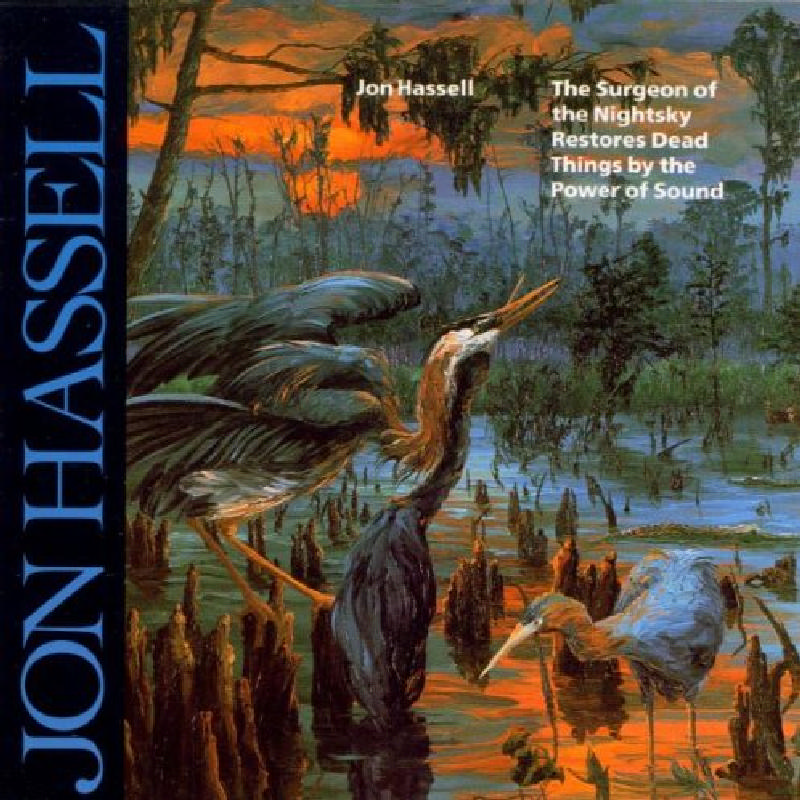 Picture of Jon Hassell - The Surgeon of the Nightsky Restores Dead Things by the Power of Sound