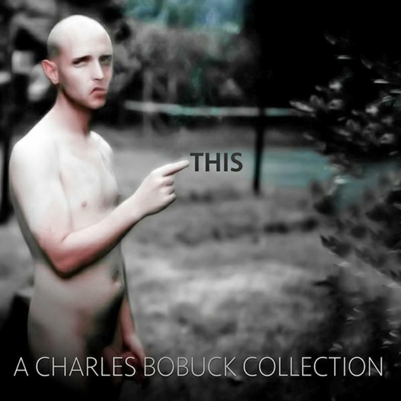Picture of Charles Bobuck - This : A Charles Bobuck Collec
