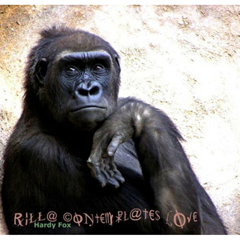 Picture of Hardy Fox - Rilla Contemplates Love