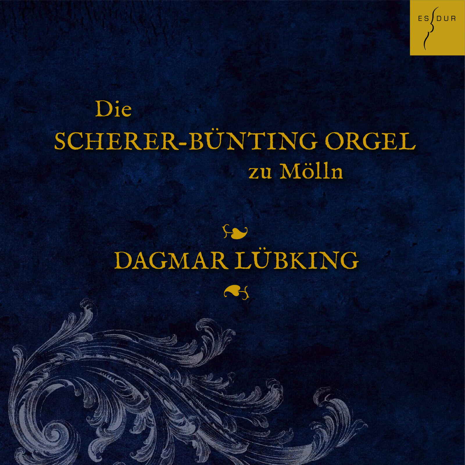 Picture of Dagmar Lubking - Die Scherer-Bunting-Orgel zu Molln