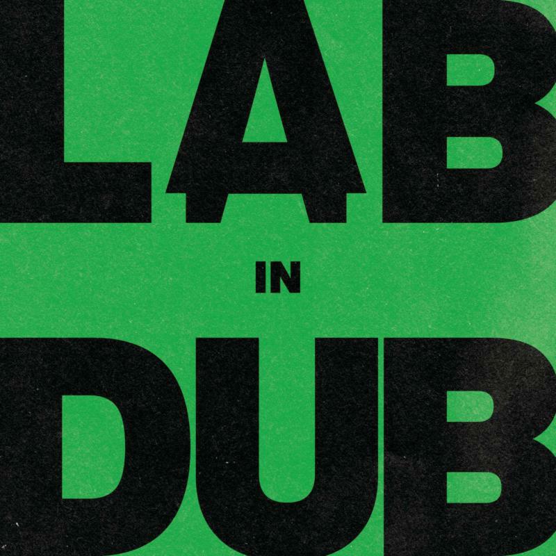 Picture of L.A.B. & Paolo Baldini Dubfiles - In Dub