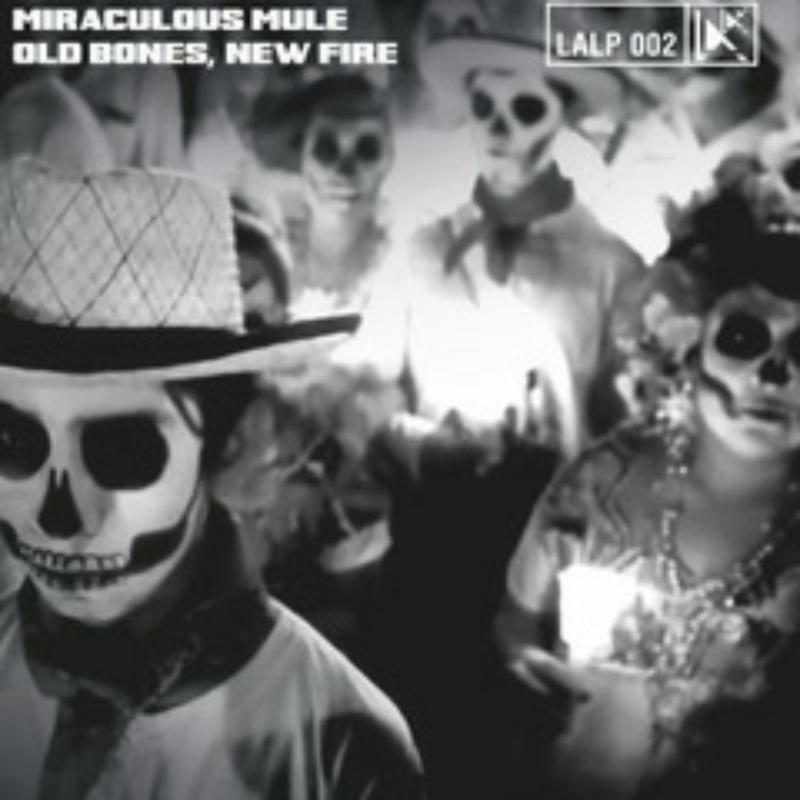 Picture of Miraculous Mule - Old Bones, New Fire