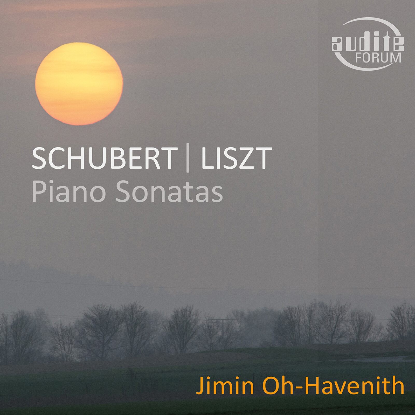 Picture of Jimin Oh-Havenith - Schubert: Piano Sonata in G Major - Liszt: Piano Sonata in B Minor