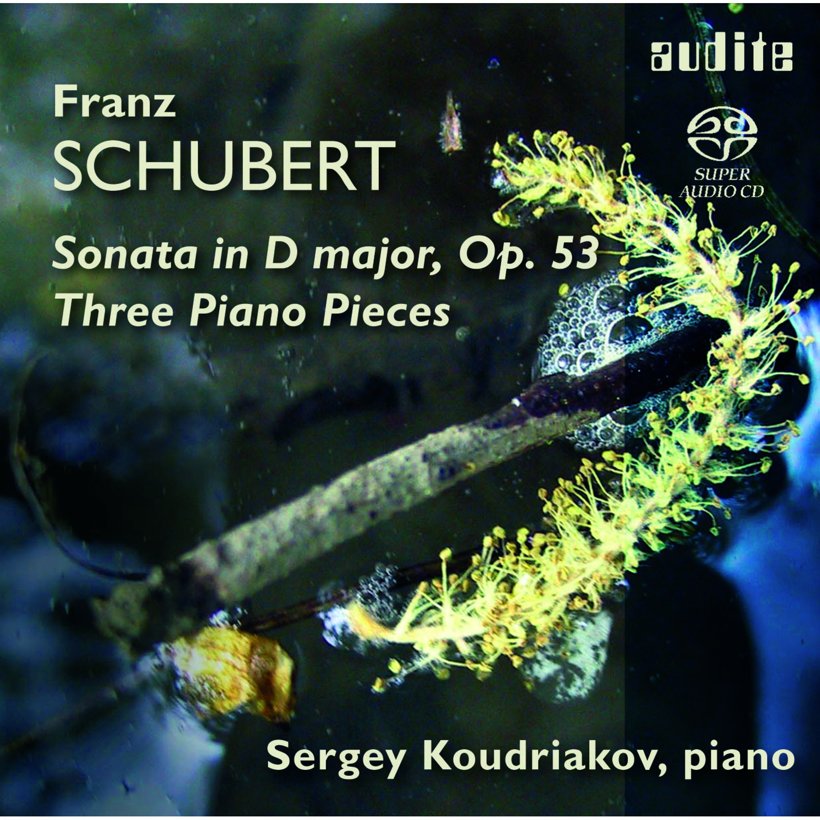 Picture of Sergei Koudriakov - Schubert: Piano Sonata Op.53, Three Piano Pieces