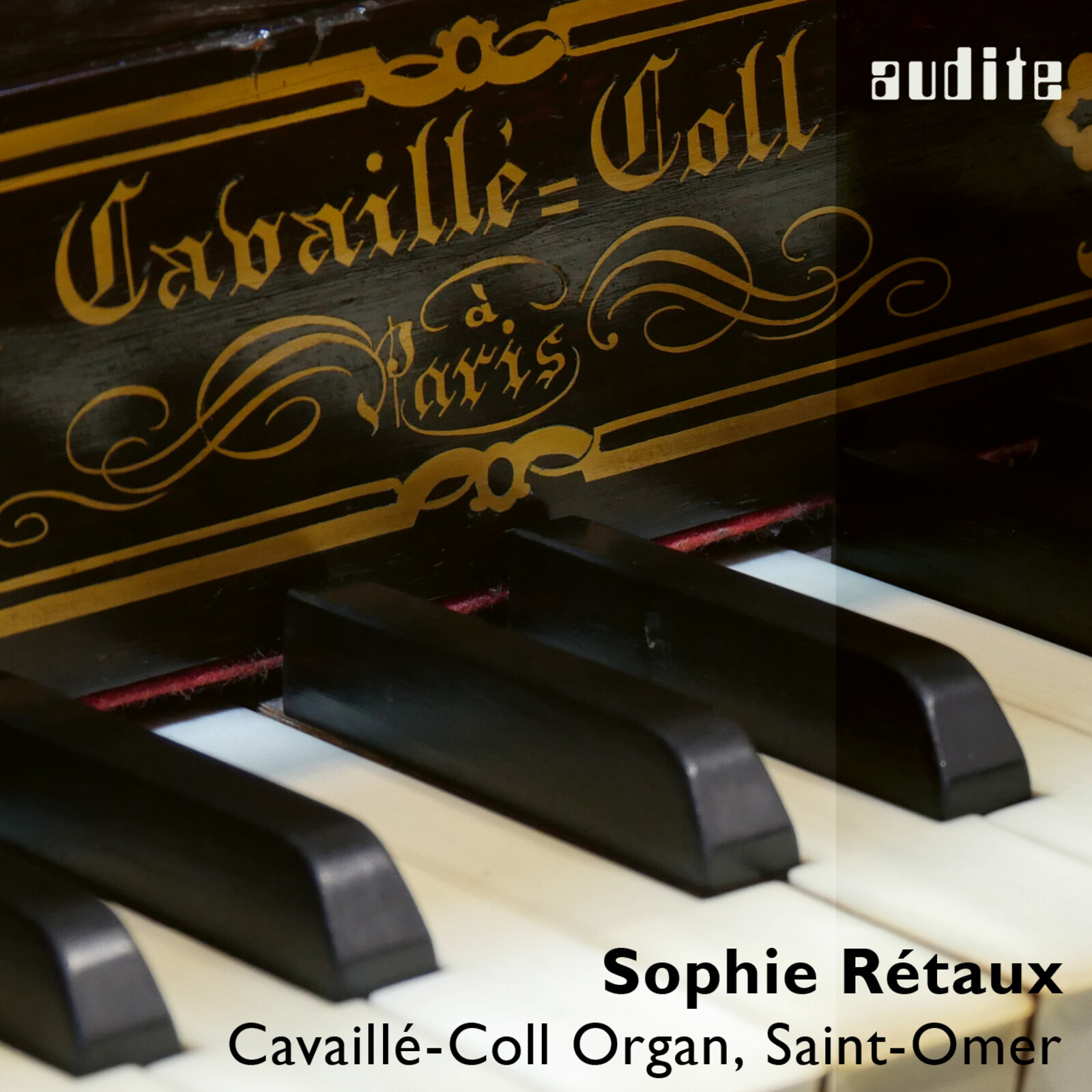 Picture of Sophie R�taux - The Cavaill�-Coll Organ, Saint-Omer