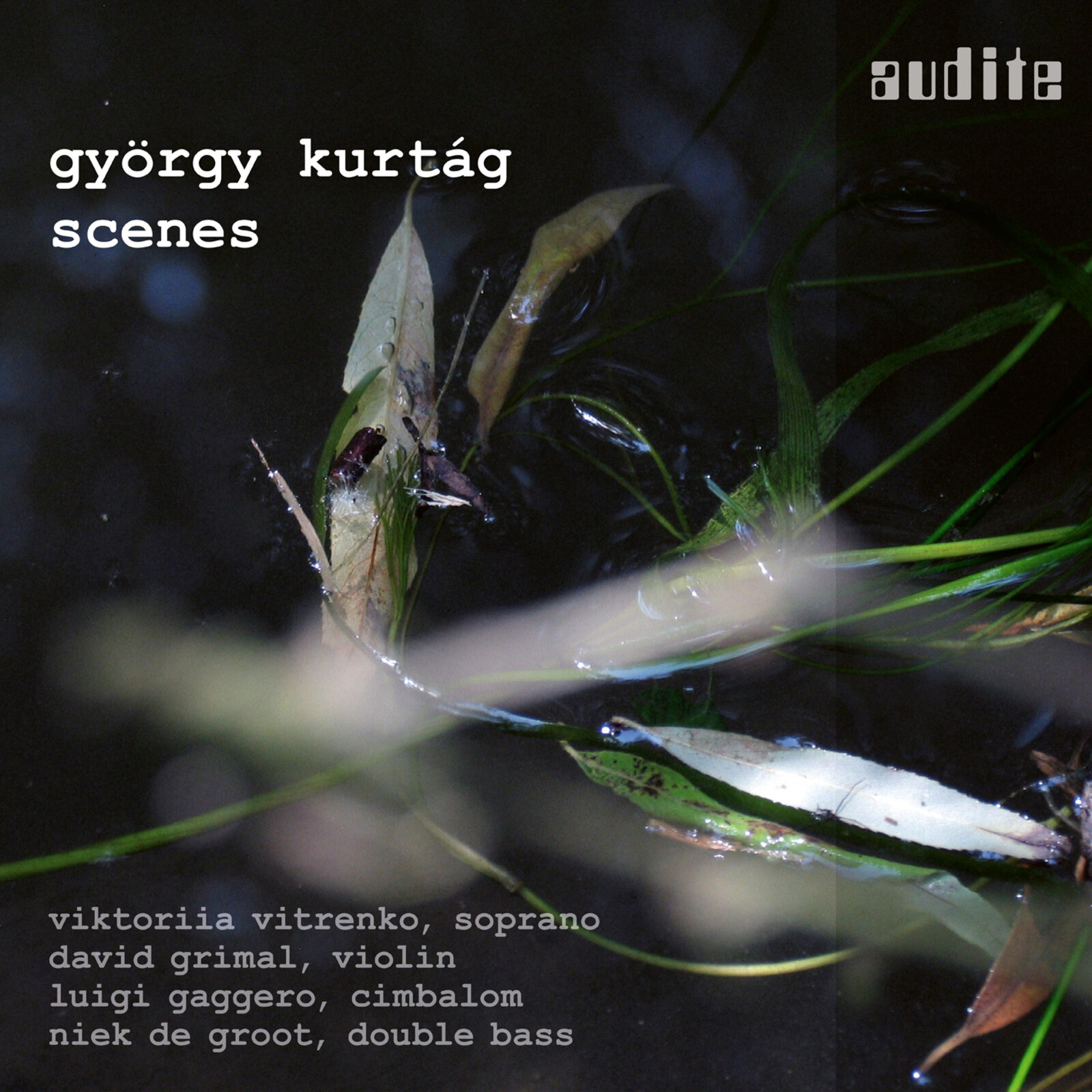 Picture of Viktorlia Vitrenko; David Grimal - Kurtag - Scenes