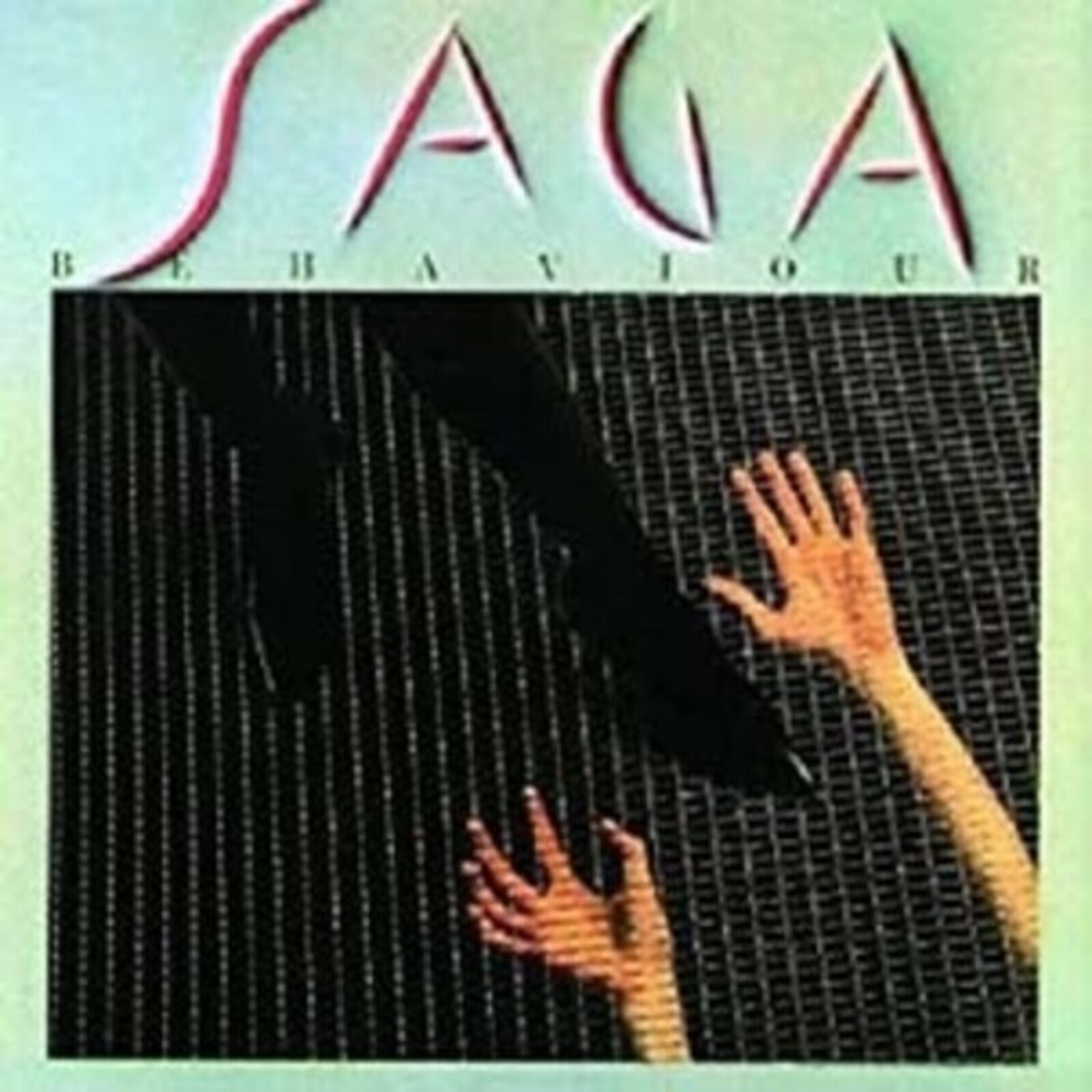 Picture of SAGA - BEHAVIOUR