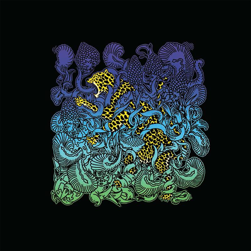 Picture of El Leopardo - El Leopardo B/W El Acontista