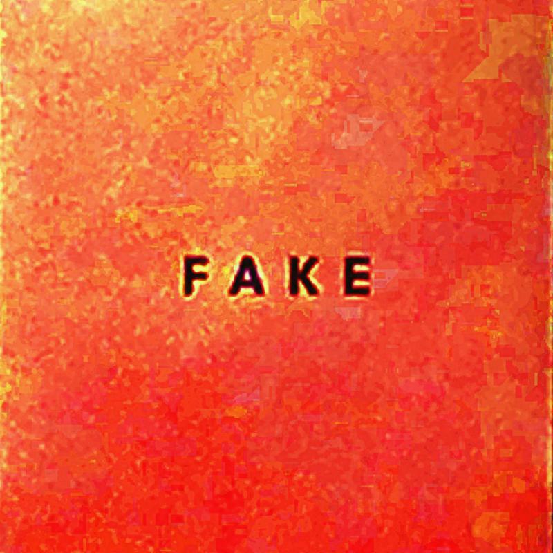 Picture of Die Nerven - Fake