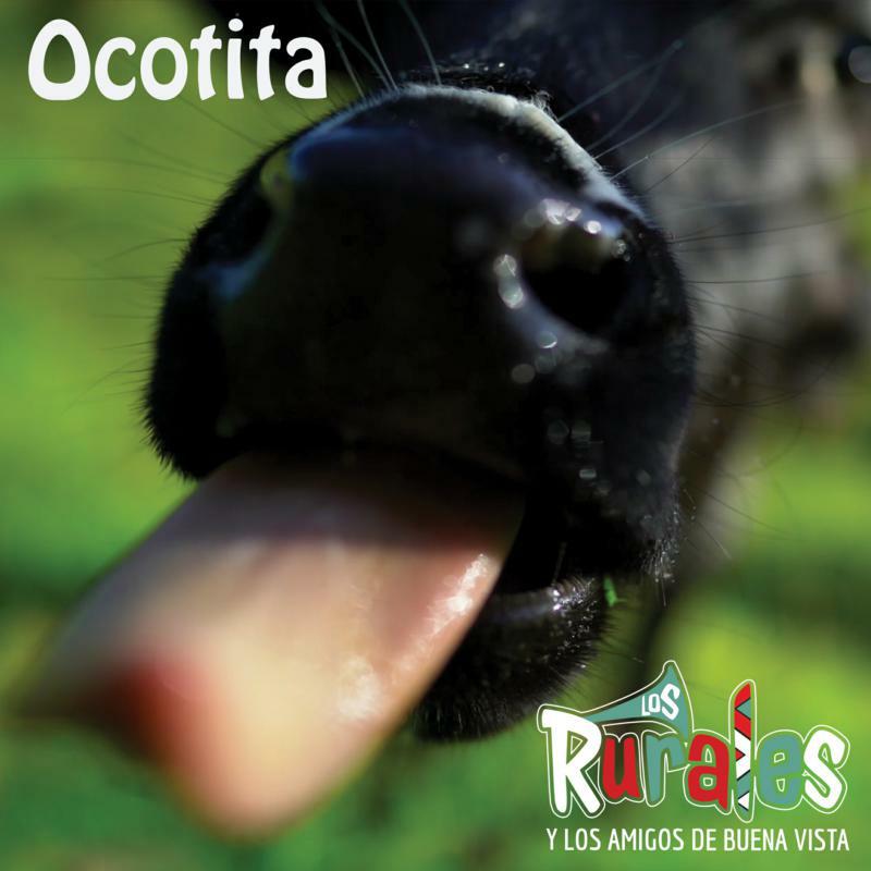 Picture of Los Rurales Y Los Amigos De Buenavista - Ocotita