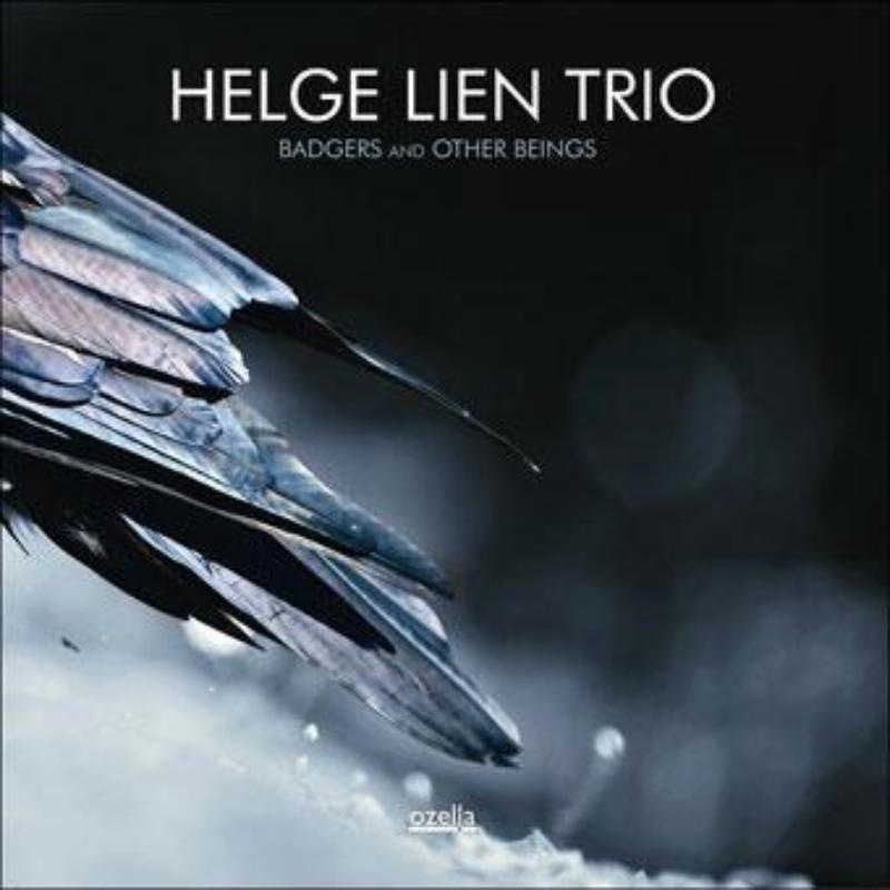 Picture of Helge Lien Trio - Badgers And Other Beings