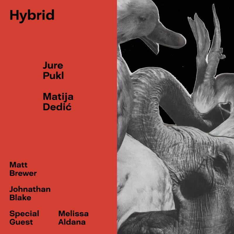 Picture of Jure Pukl & Matija Dedic - Hybrid