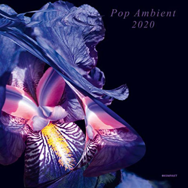 Picture of Various Artists - Pop Ambient 2020