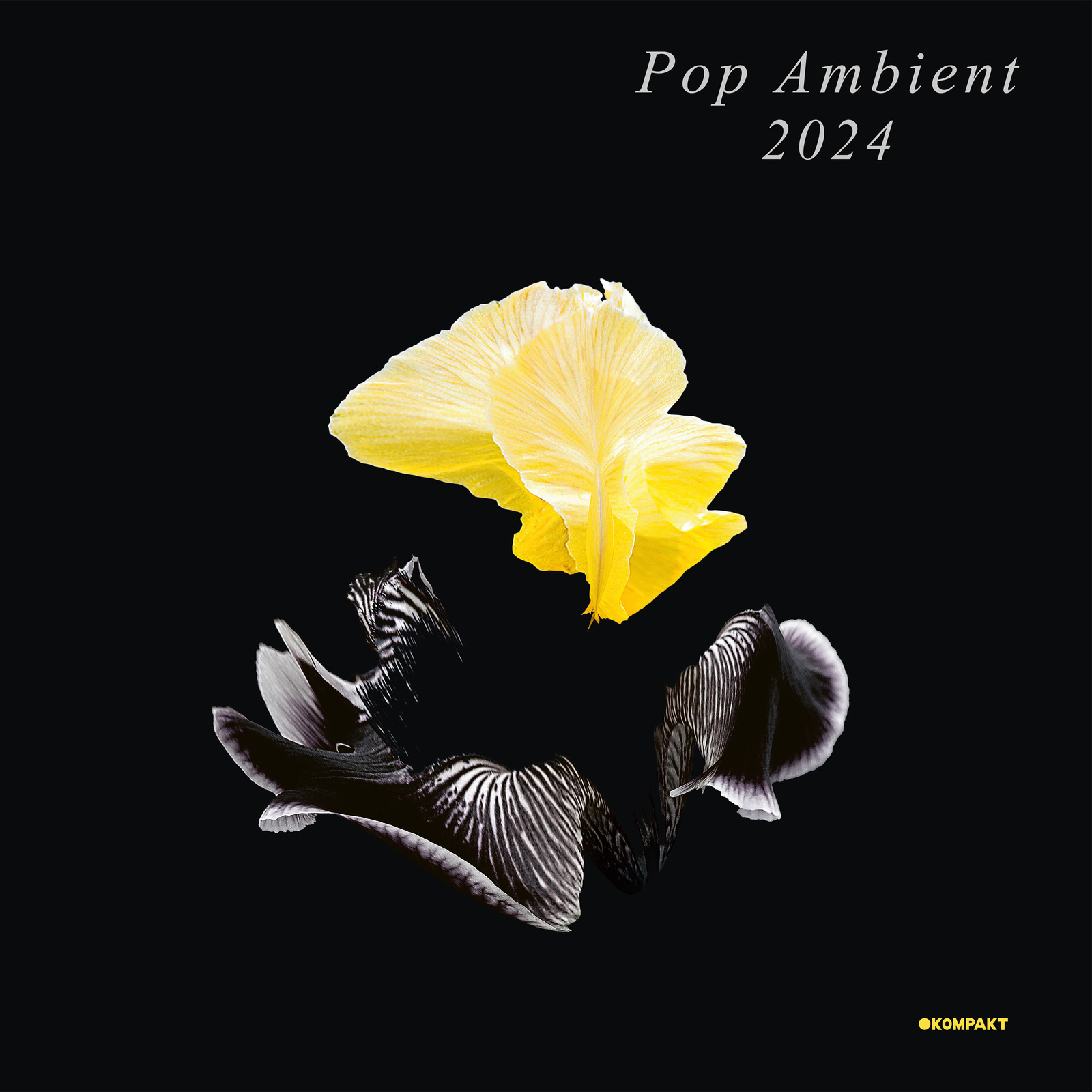 Picture of Various Artists - Pop Ambient 2024
