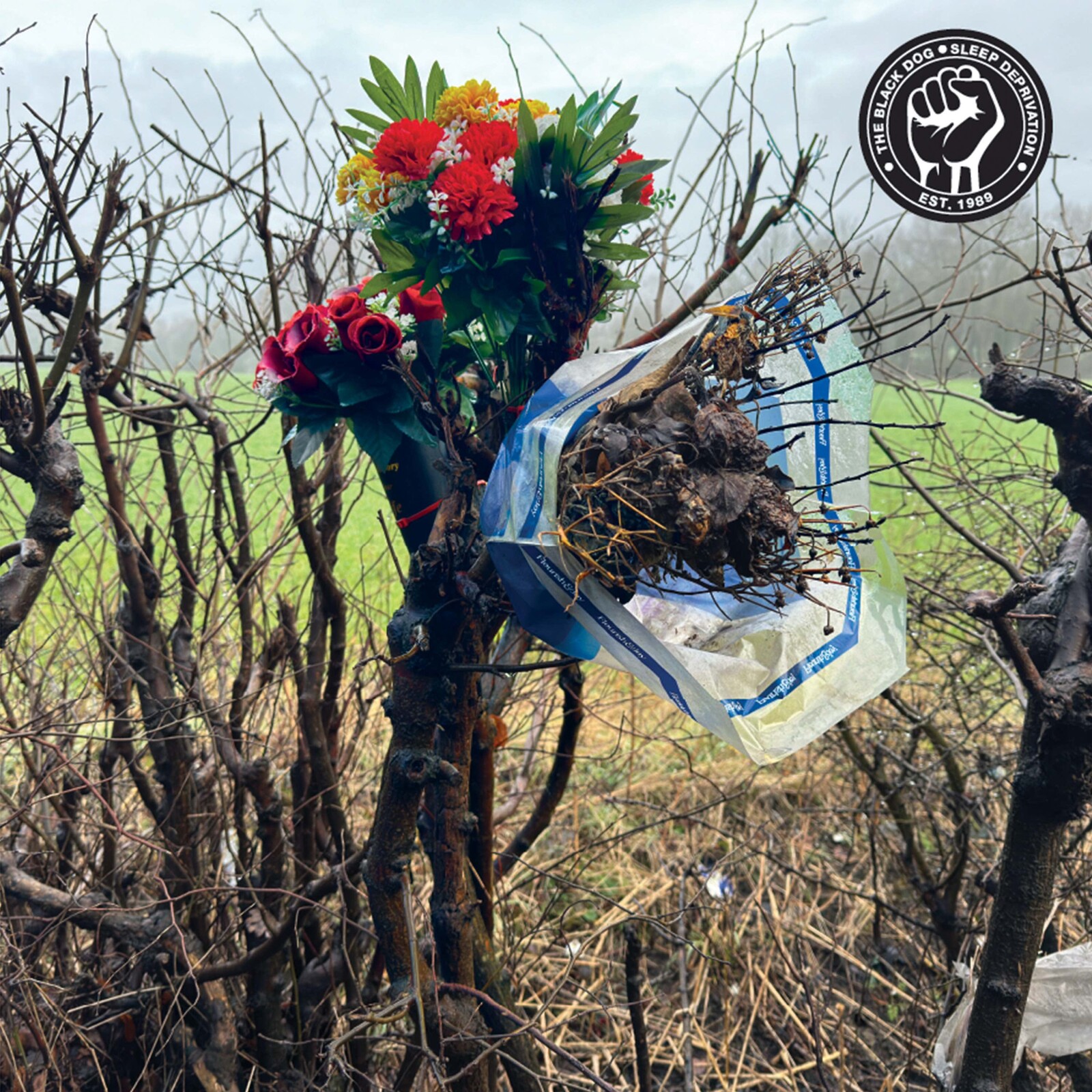 Picture of THE BLACK DOG - SLEEP DEPRIVATION