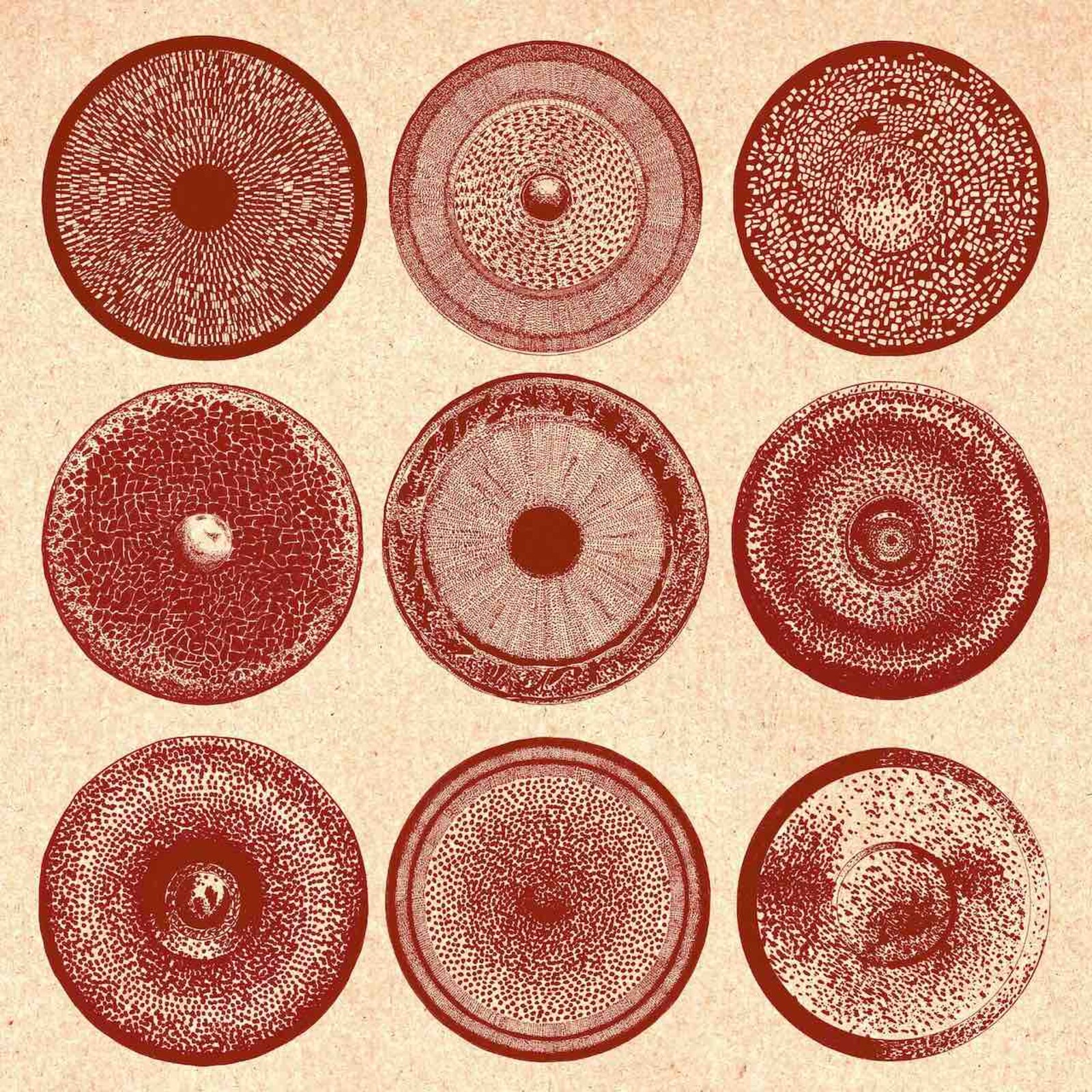 Picture of ENSEMBLE NIST-NAH - SPILLA