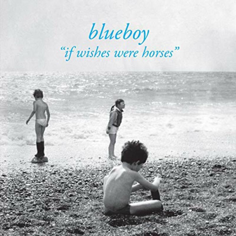 Picture of Blueboy - If Wishes Were Horses