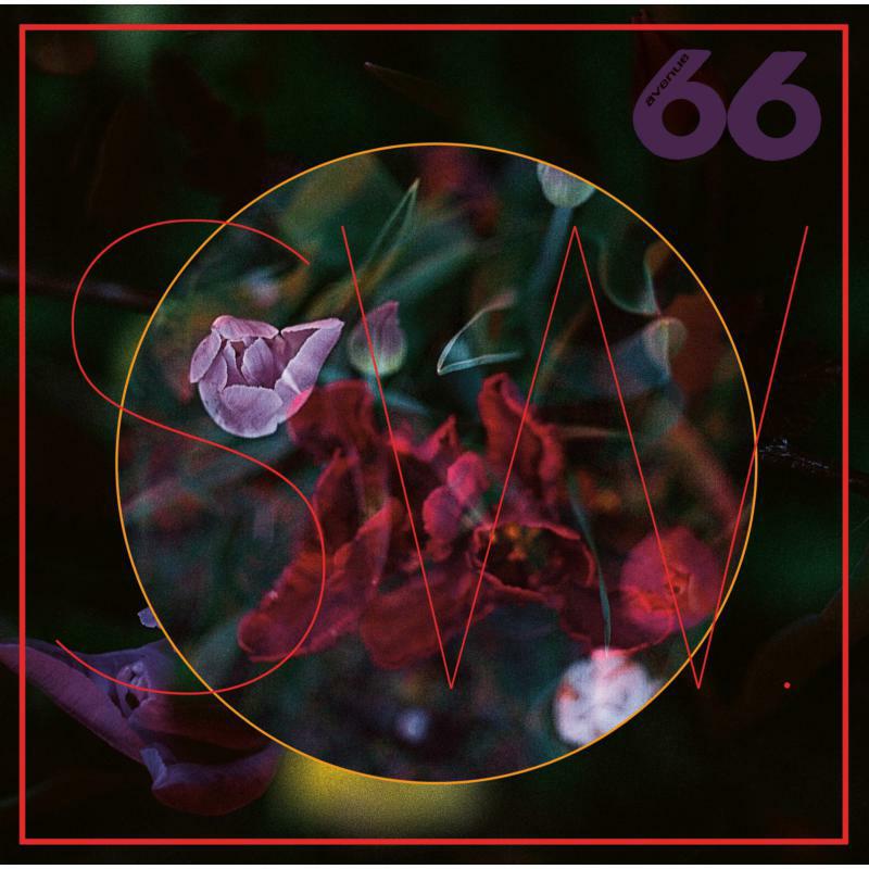 Picture of SW. - TRUElipS