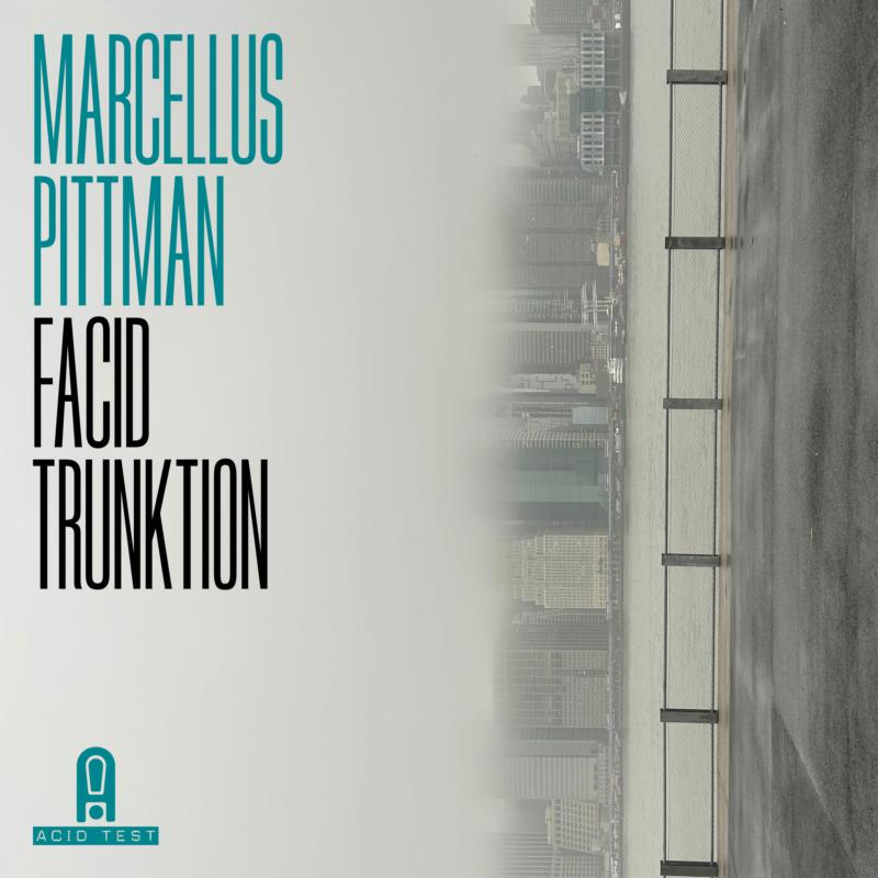 Picture of MARCELLUS PITTMAN - FACID TRUNKTION