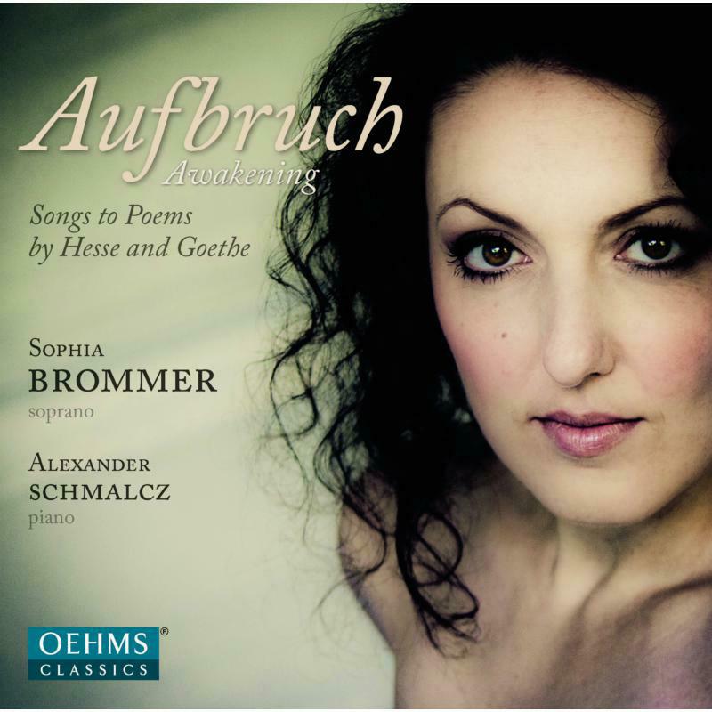 Picture of Brommer:Schmalcz - Aufbruch