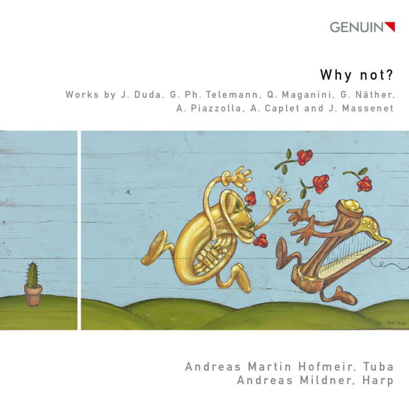 Picture of Andrea Hofmeir:Mildner - Why Not?