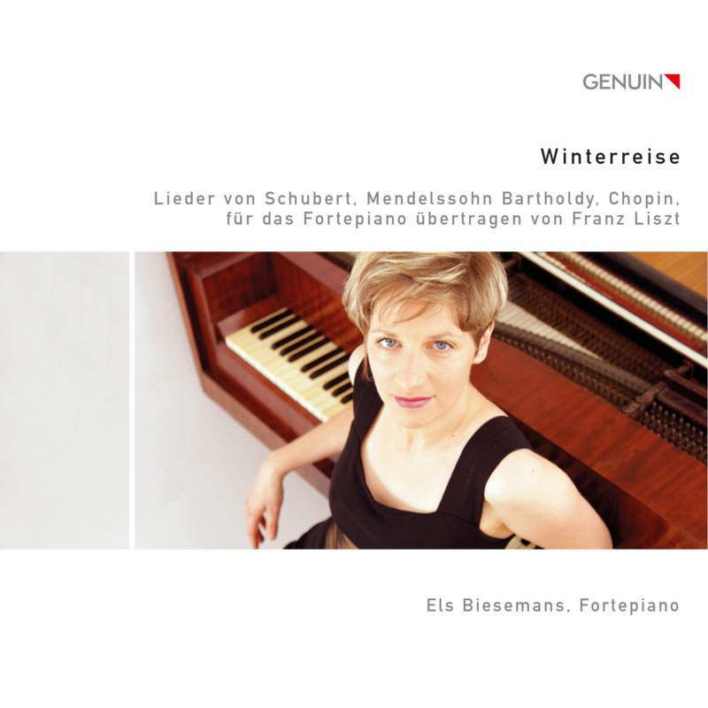 Picture of Els Biesemans - Winterreise