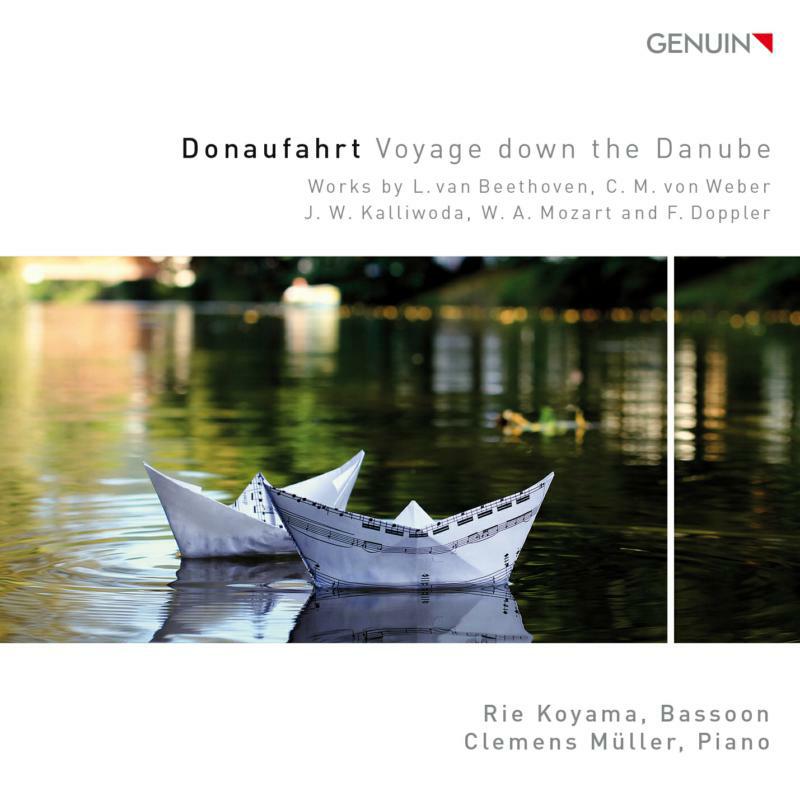 Picture of Koyama/Muller - Voyage Down The Danube