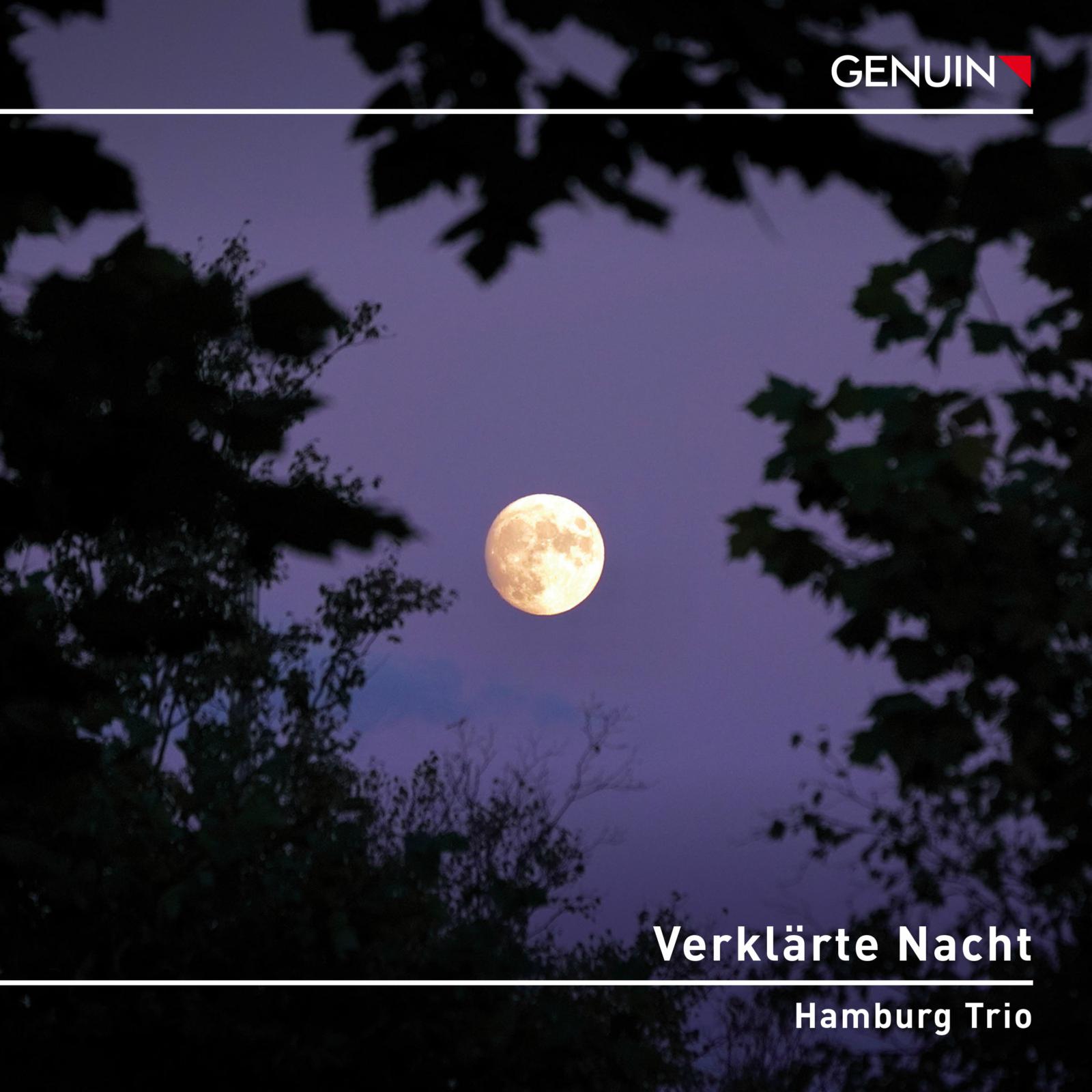 Picture of Hamburg Trio - Verklarte Nacht