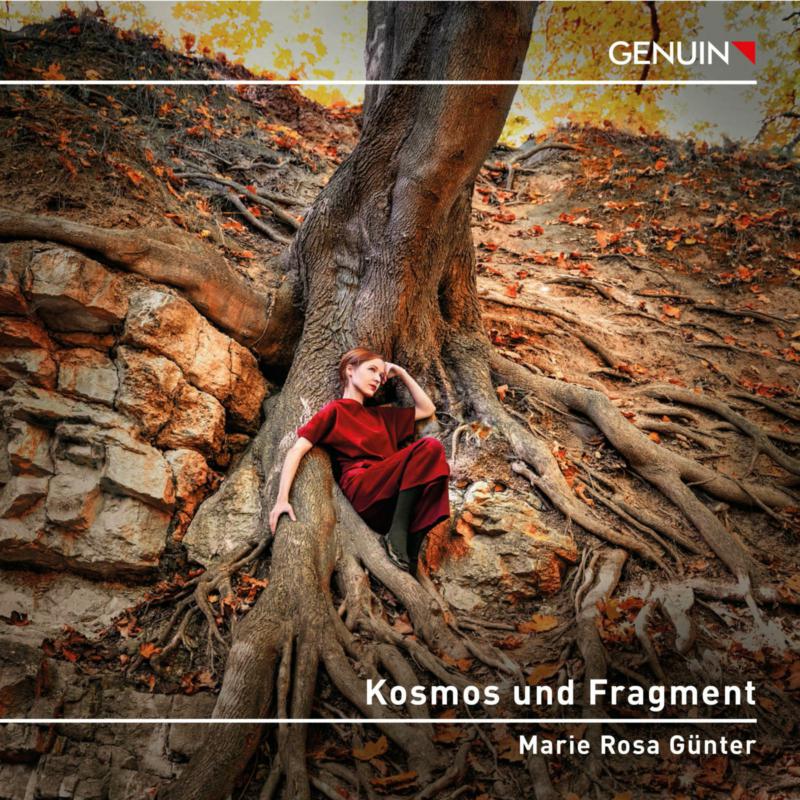 Picture of Marie Rosa Gunter - Kosmos und Fragment