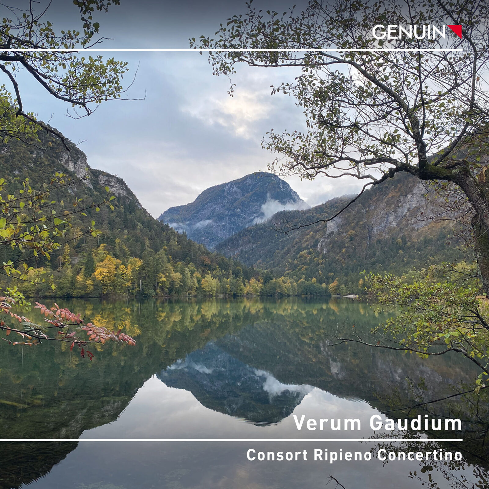 Picture of Consort Ripieno Concertino - Verum Gaudium - Compilation of early Baroque works for (inner) joy by J. L. Bach, G. F. Handel, J.M Leclair, G. Sammartini, A. Vivaldi and J. S. Bach