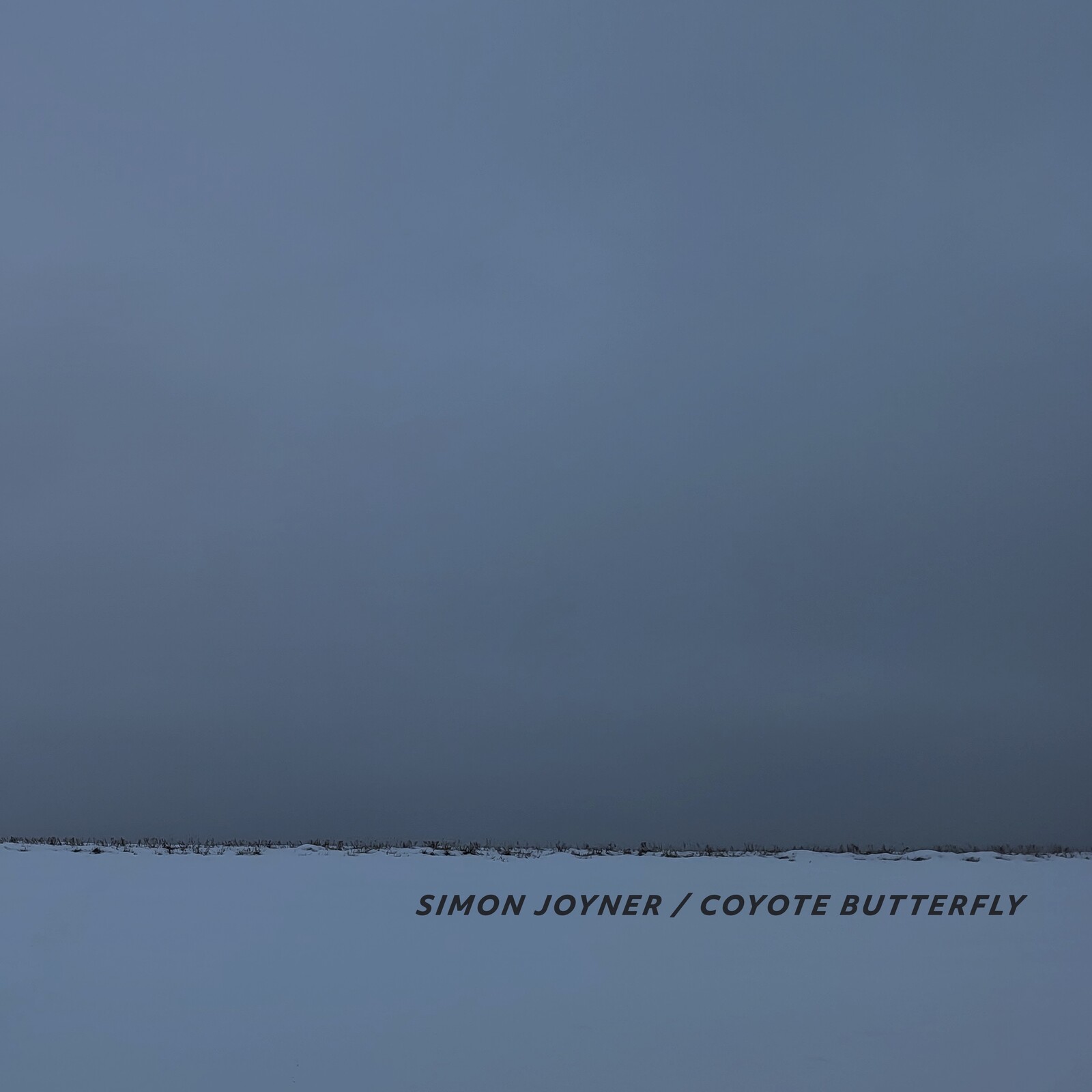 Picture of Simon Joyner - Coyote Butterfly