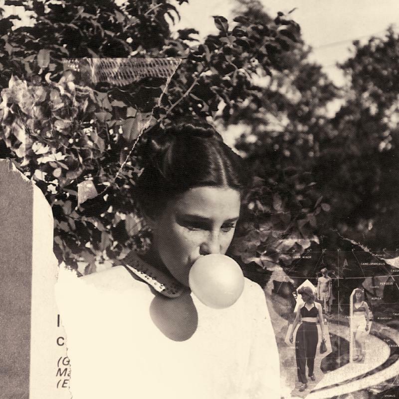 Picture of She Keeps Bees - Eight Houses