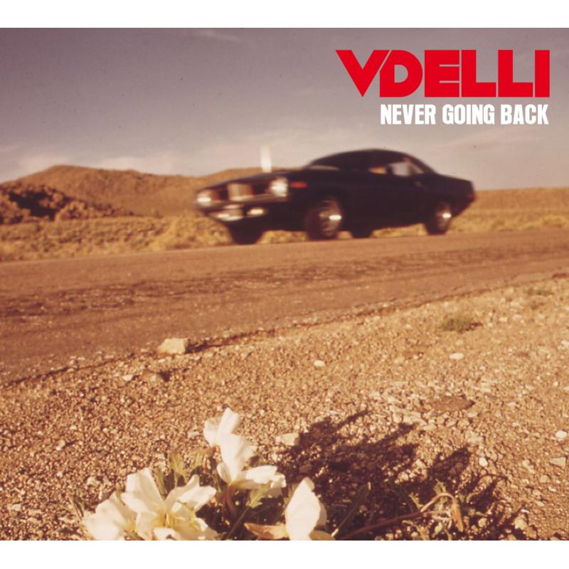 Picture of Vdelli - Never Going Back