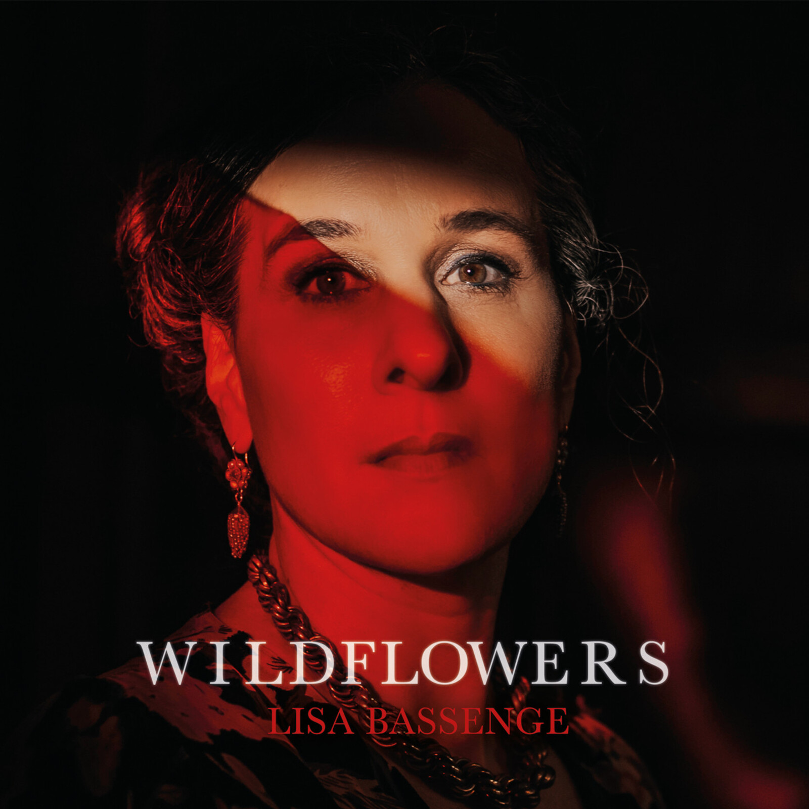 Picture of Lisa Bassenge - Wildflowers
