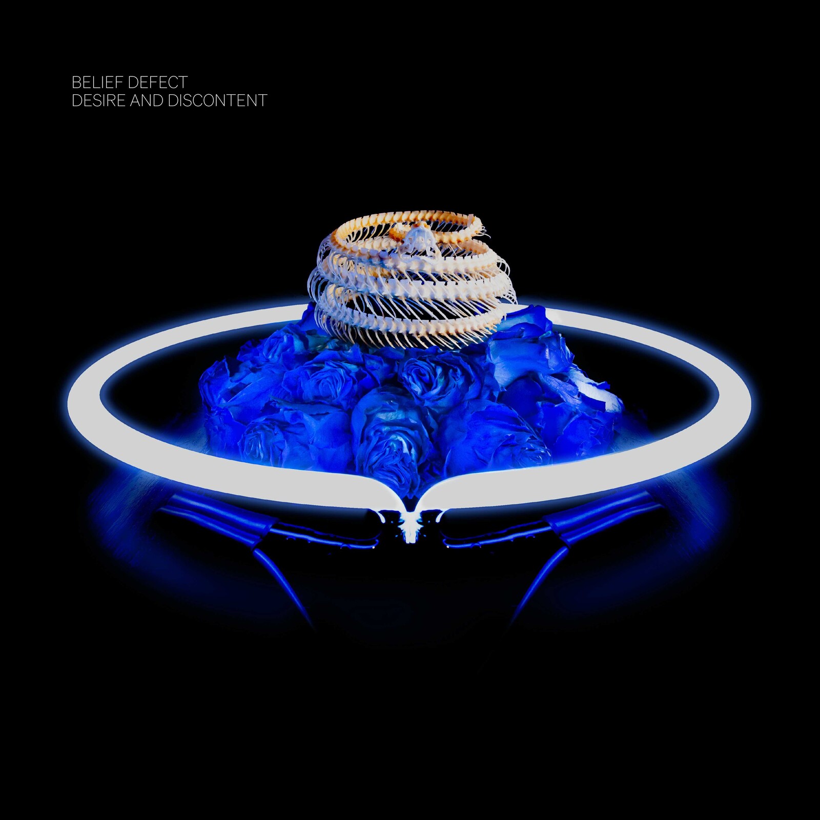 Picture of BELIEF DEFECT - DESIRE AND DISCONTENT