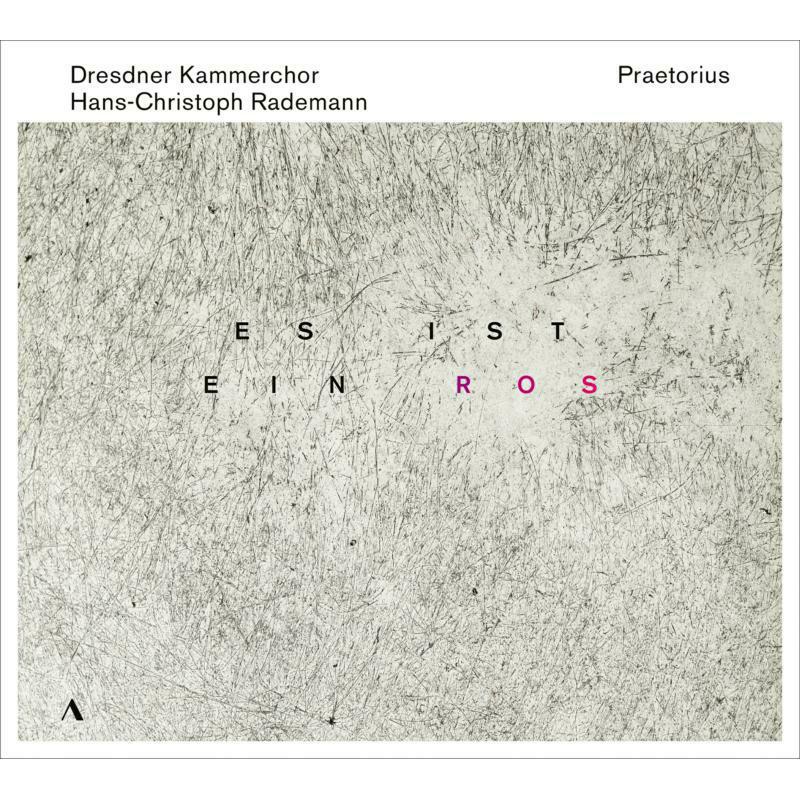 Picture of Dresdner Kammerchor/Rademann - Michael Praetorius: Es ist ein Ros - Music for Advent and Christmas