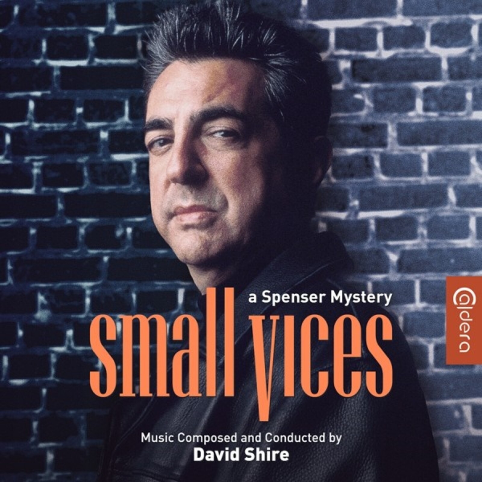 Picture of David Shire - Small Vices