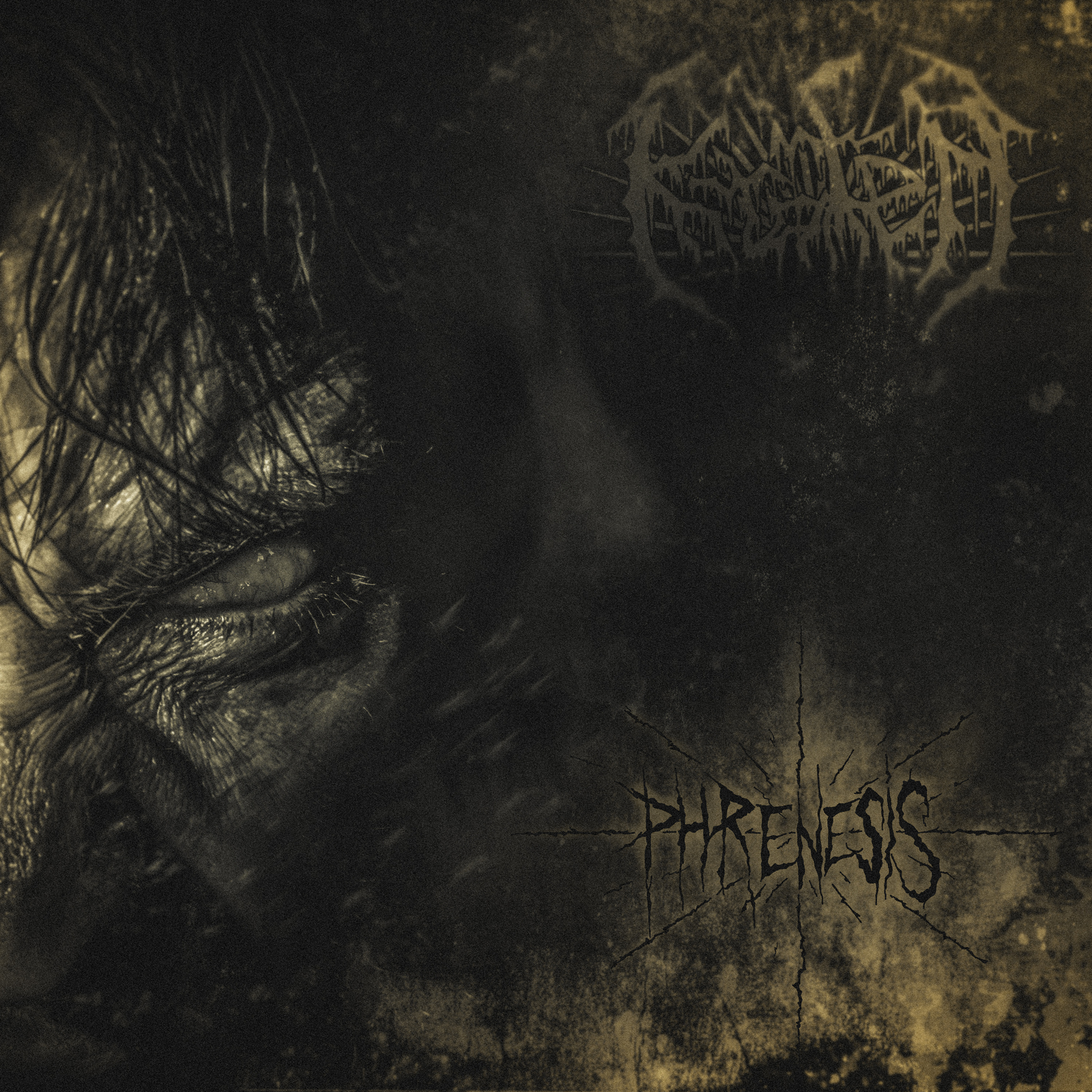 Picture of Krater - Phrenesis