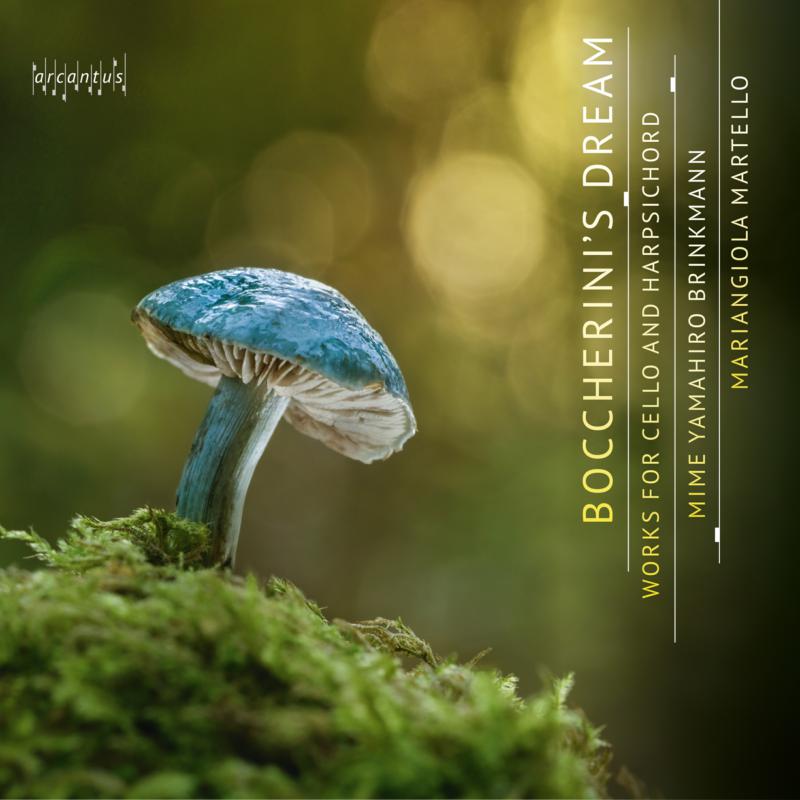 Picture of Mime Yamahiro Brinkmann; Mariangiola Martello - Boccherini's Dream