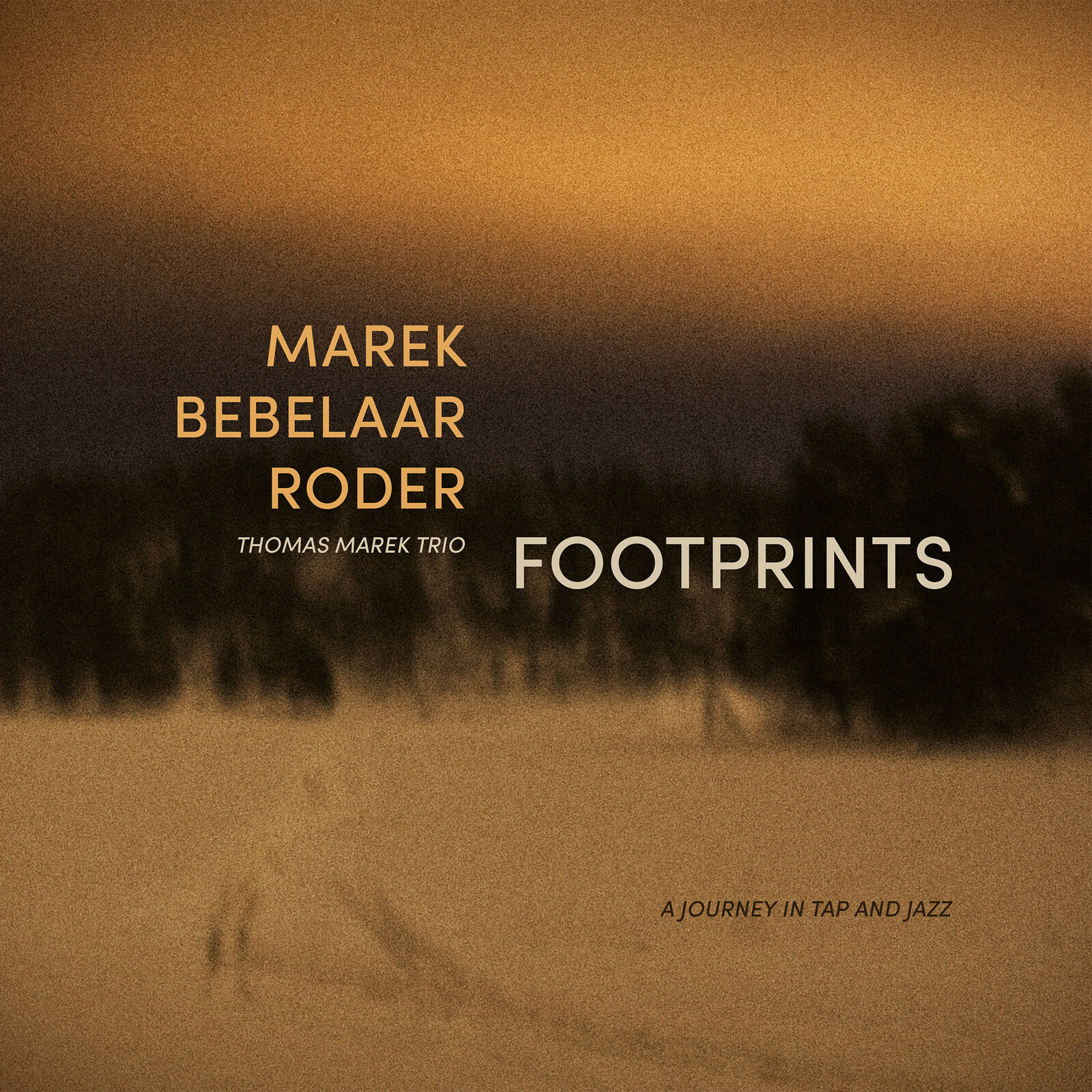 Picture of Thomas Marek Trio - Footprints