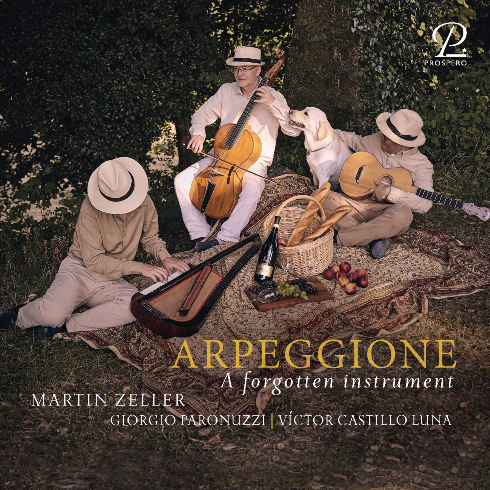 Picture of Martin Zeller; Giorgio Paronuzzi; Victor Castillo Luna - Arpeggione - A forgotten Instrument