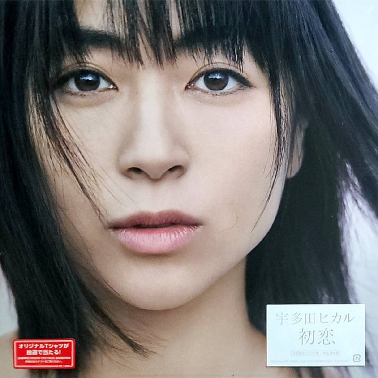 Picture of Hikaru Utada - Hatsukoi