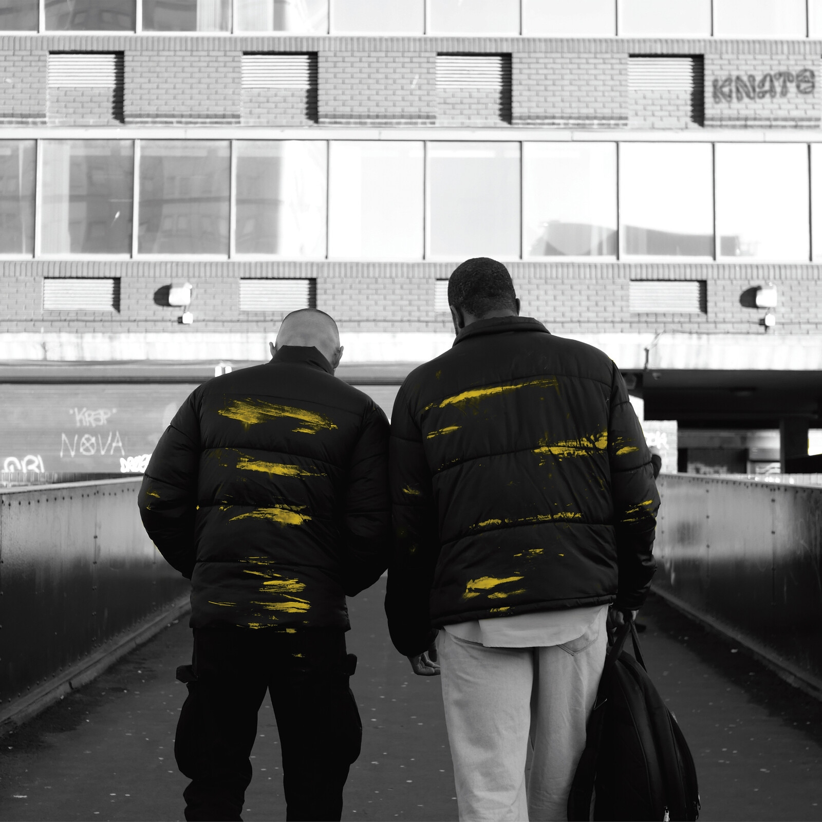 Picture of Knats - Knats