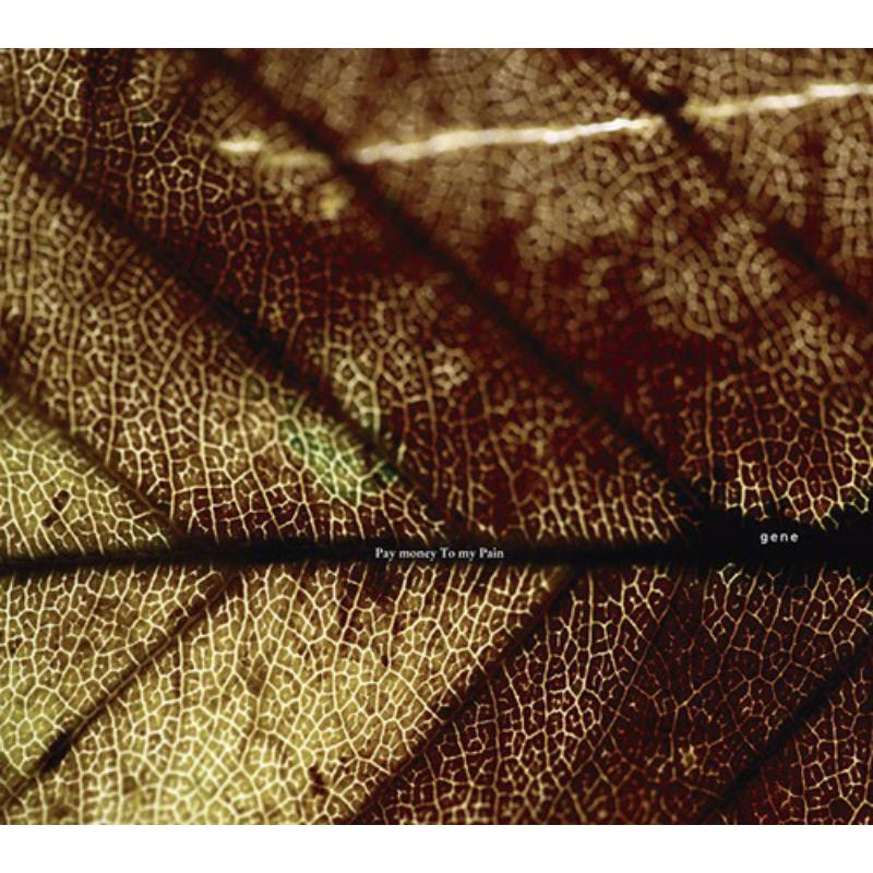 Picture of Pay Money To My Pain - Gene