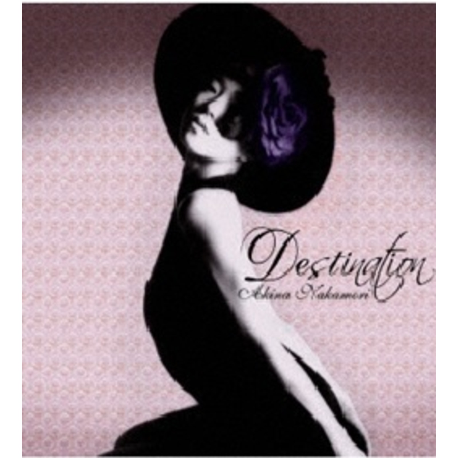 Picture of Akina Nakamori - Destination