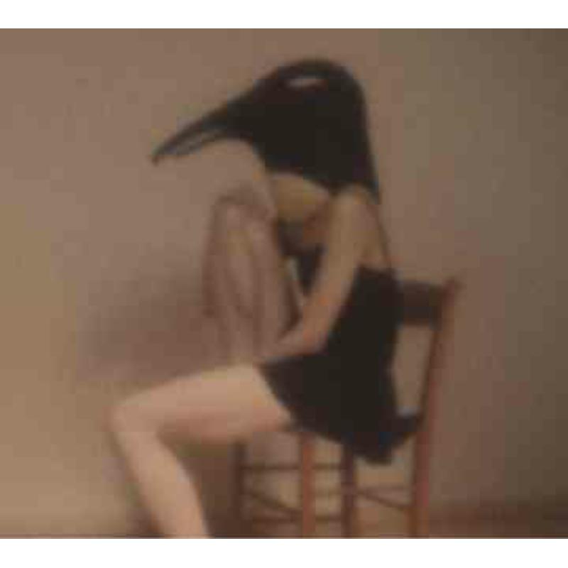 Picture of Various Artists - Penguin Cafe Orchestra - Tribute